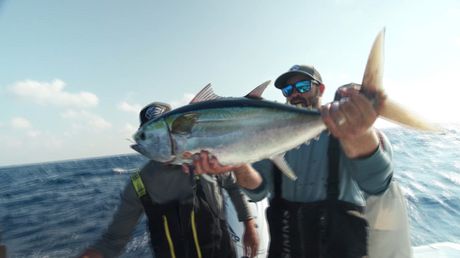 Sail Kings | Outdoor America