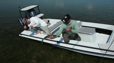 Silver Kings | Outdoor America