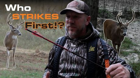 On The Road | Outdoor America