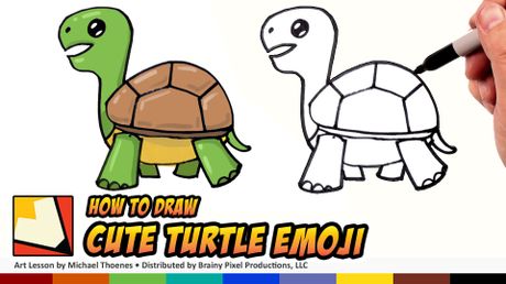 how to draw a cute turtle